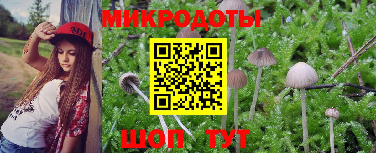 Галлюциногенные грибы Magic Shrooms  Галлюциногенные грибы GOLDEN TEACHER  Дзержинский  наркотики  Вход с VPN 