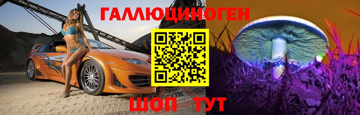 Псилоцибиновые грибы GOLDEN TEACHER Дзержинский